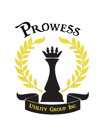 Prowess Utility Group Inc.